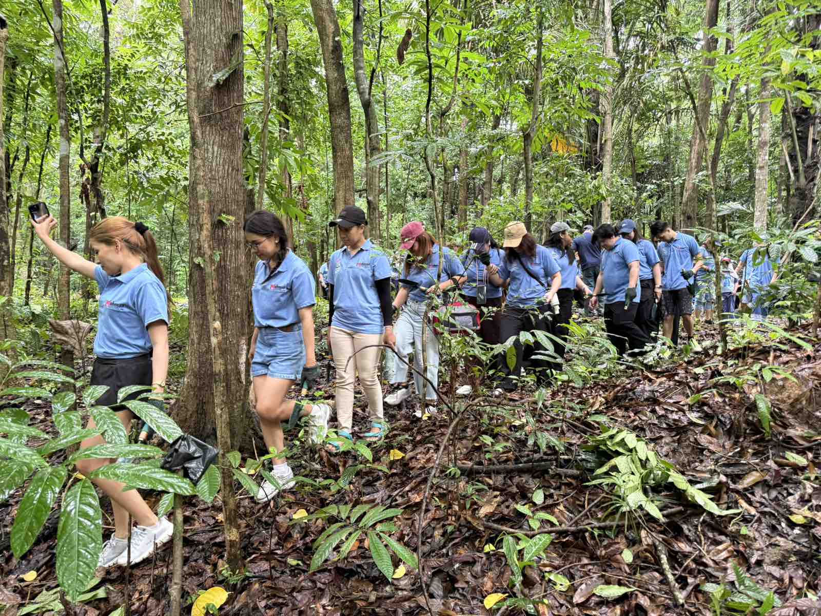 (Maybank Investment) Tree Planting Activity