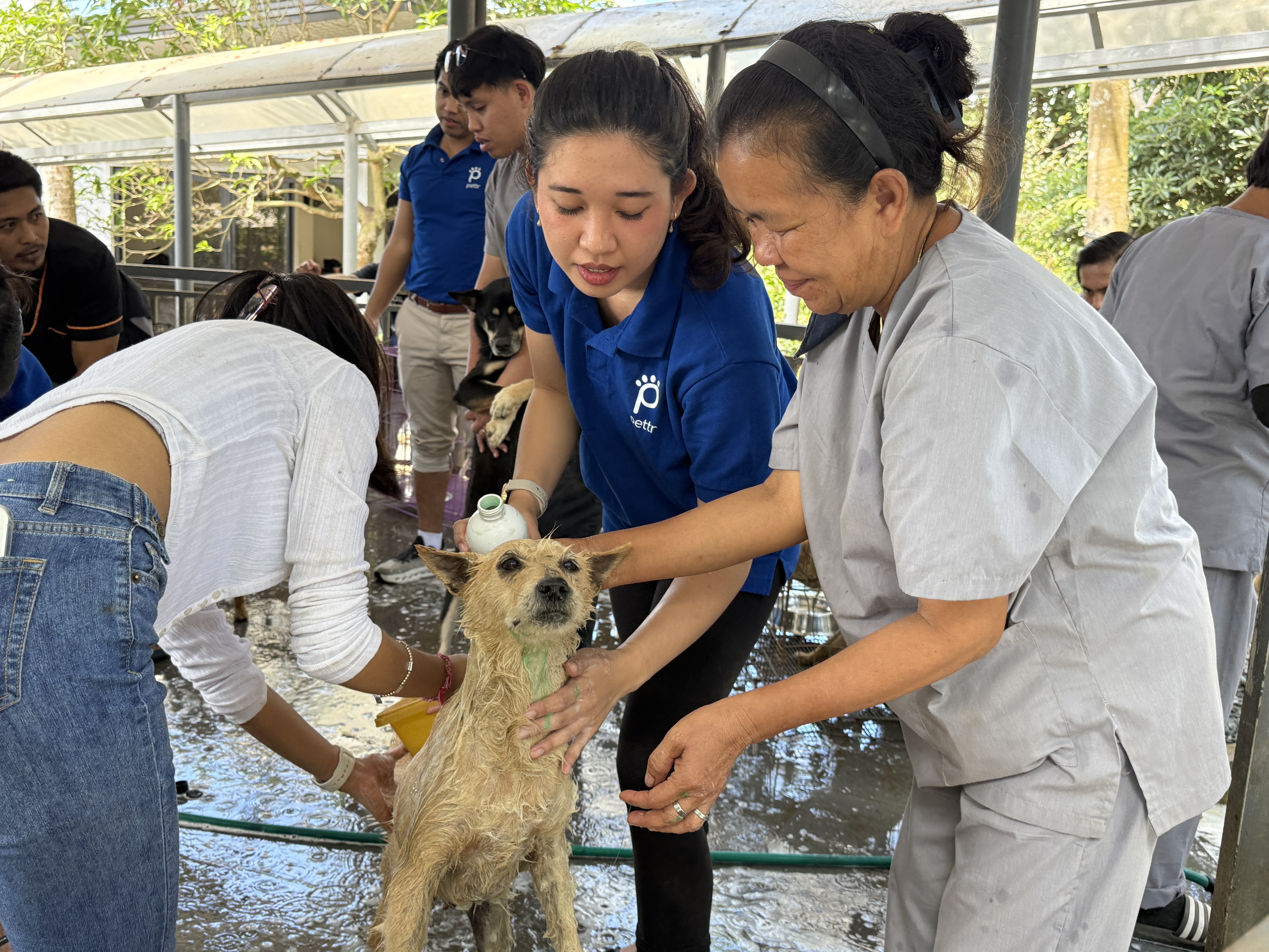 (GCash) Animal Welfare Activity at Biyaya Animal Sanctuary
